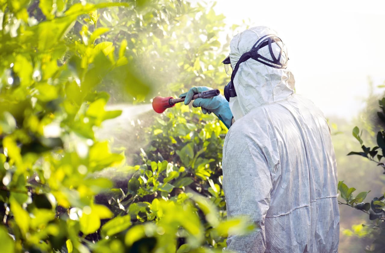 Trabajador agrícola aplicando productos químicos usando equipo de protección de Ferreterías Guevara